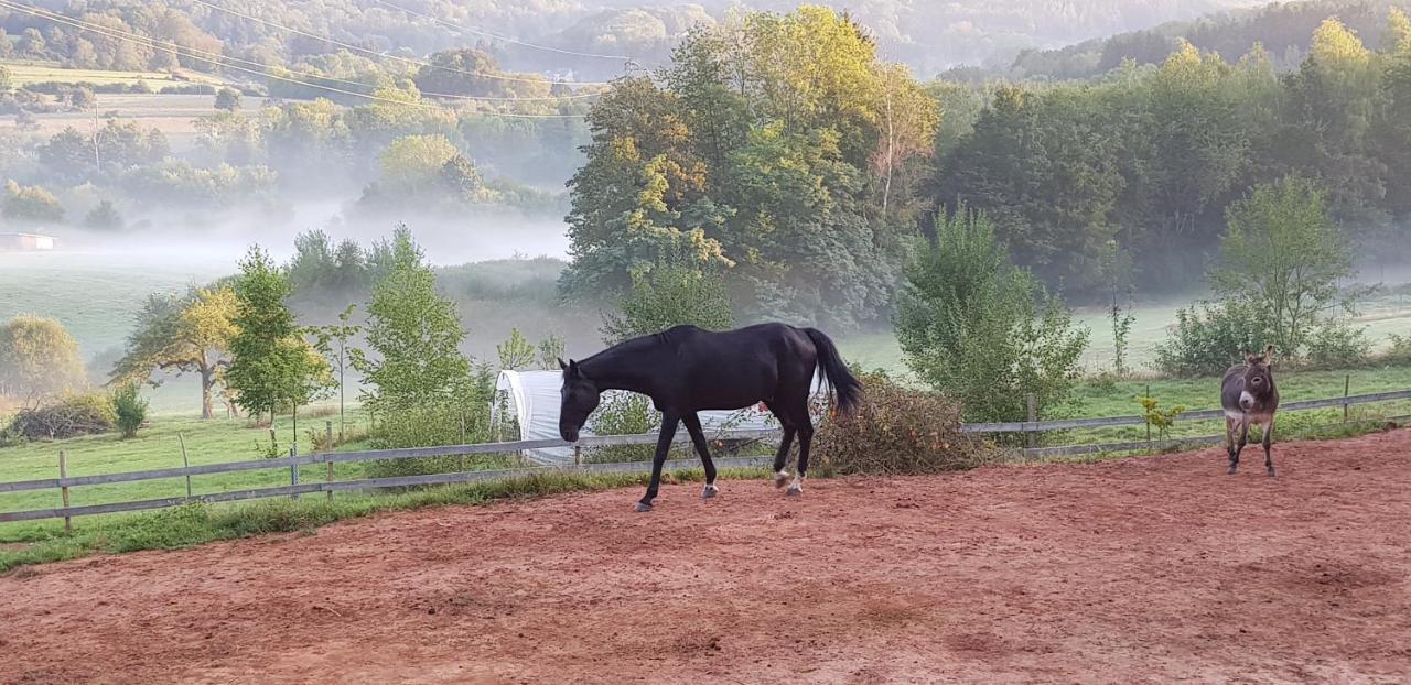 Coeur Vert Oekologisch Mit Viel Ambiente Fuer Seelen-Wellness Ronchamp Εξωτερικό φωτογραφία