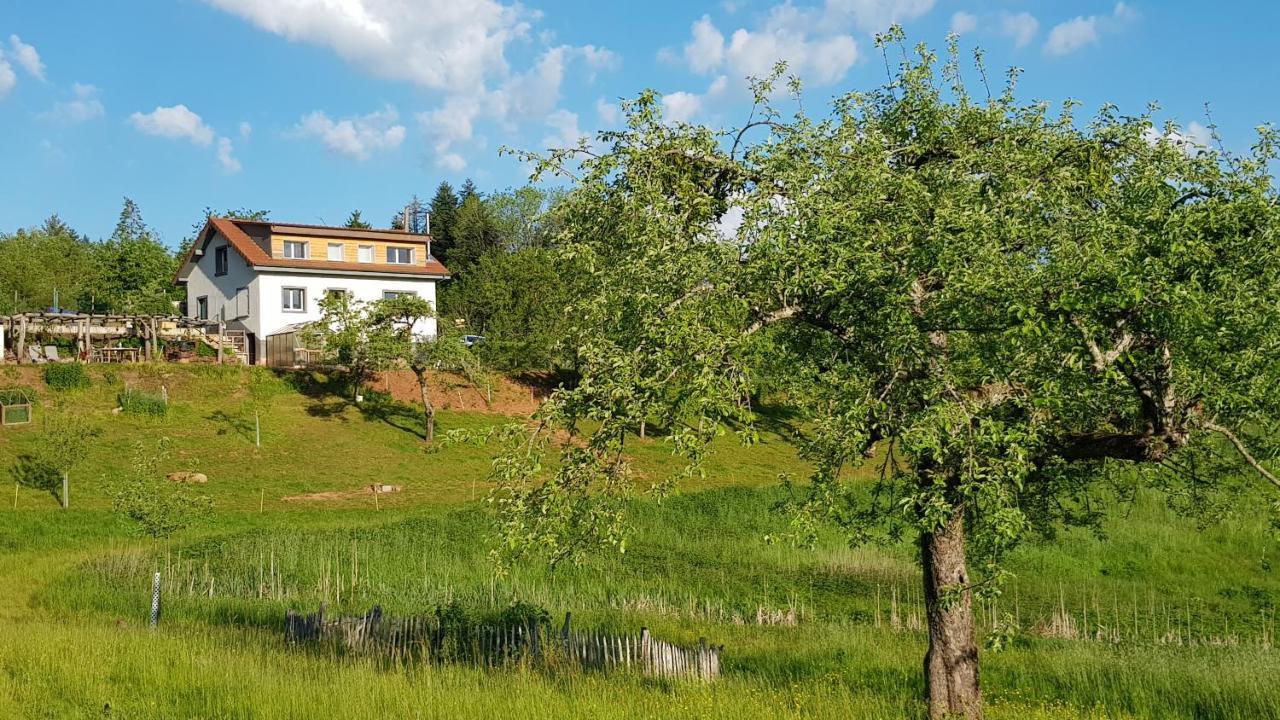 Coeur Vert Oekologisch Mit Viel Ambiente Fuer Seelen-Wellness Ronchamp Εξωτερικό φωτογραφία